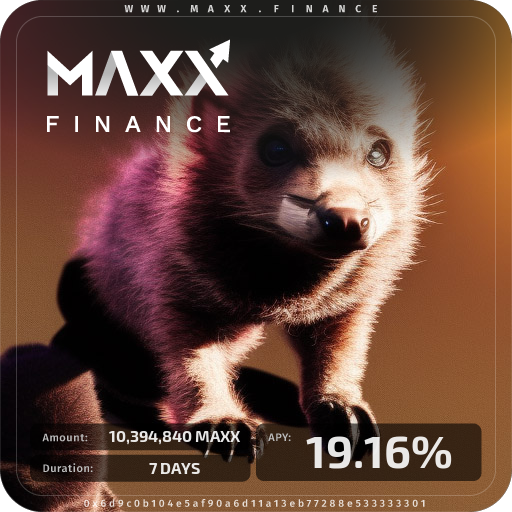 MAXX Finance Stake 5104