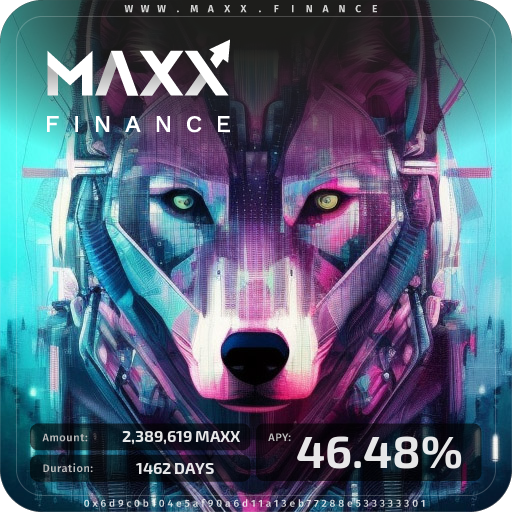 MAXX Finance Stake 6587