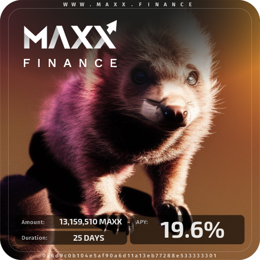 MAXX Finance Stake 6703